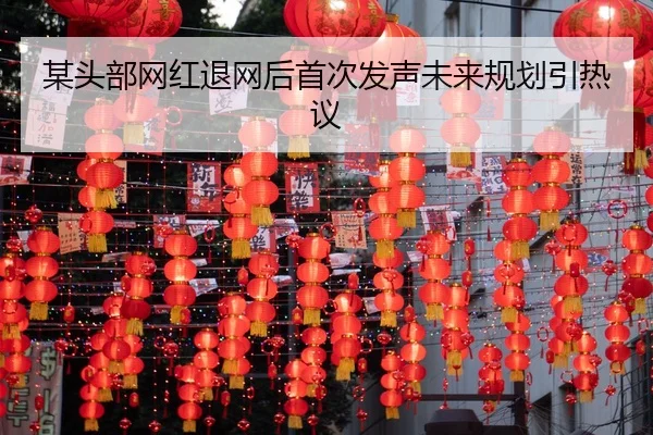 某头部网红退网后首次发声未来规划引热议